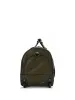17149nl_OLIVE_1
