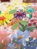 17251nl_BLOSSOM_8