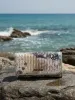 41037jn_SEA_9