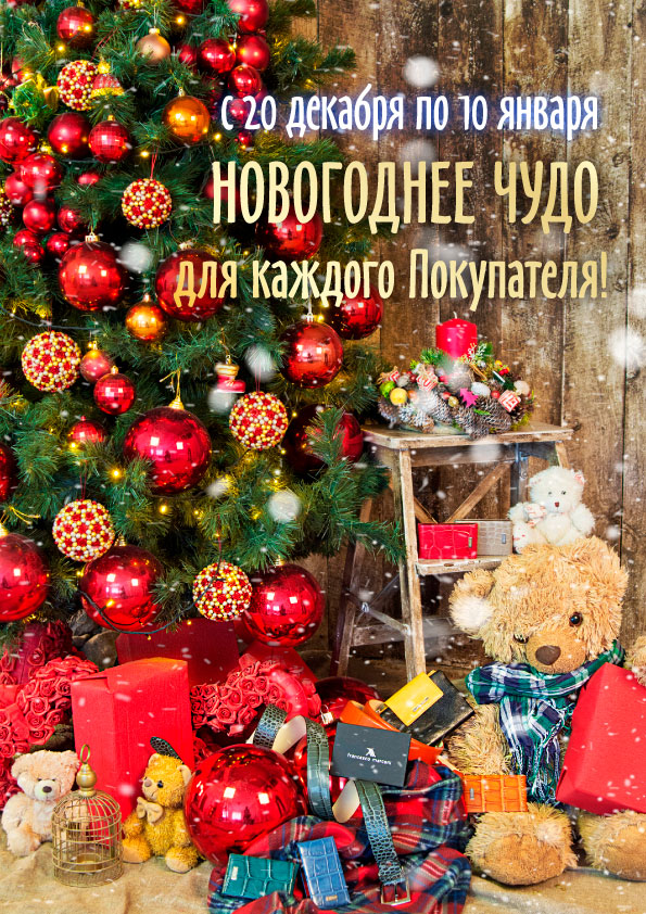 Новогодние подарки каждому покупателю! Новогодние подарки каждому покупателю!