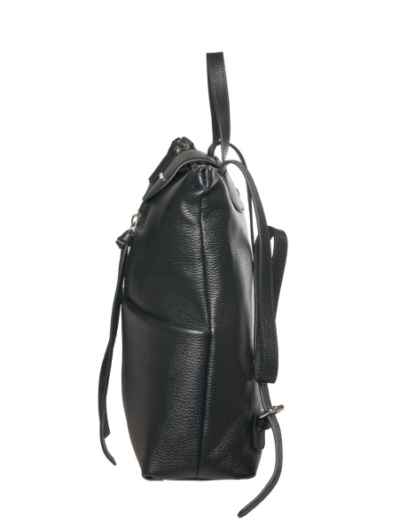 84910se_cervo_nero_2